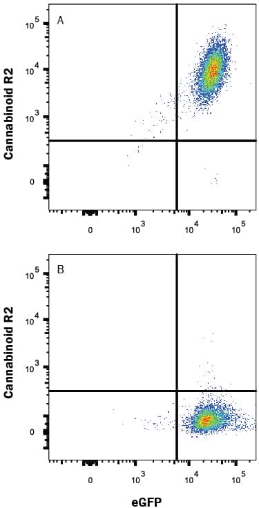 Flow Cytometry Cannabinoid R2/CB2/CNR2 Antibody (352110) [Unconjugated]