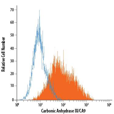 U-87 MG human glioblastoma/astrocytoma cell line was stained with Mouse Anti-Human Carbonic Anhydrase IX/CA9 PE-conjugated Monoclonal Antibody (Catalog # FAB2188P, filled histogram) or isotype control antibody (Catalog # IC003P, open histogram). View our protocol for Staining Membrane-associated Proteins.