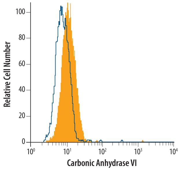 OVCAR-3 human ovarian carcinoma cell line was stained with Mouse Anti-Human Carbonic Anhydrase VI Monoclonal Antibody (Catalog # MAB29391, filled histogram) or isotype control antibody (Catalog # MAB0041, open histogram), followed by Phycoerythrin-conjugated Anti-Mouse IgG F(ab')2Secondary Antibody (Catalog # F0102B). To facilitate intra-cellular staining, cells were fixed with paraformaldehyde and permeabilized with saponin.
