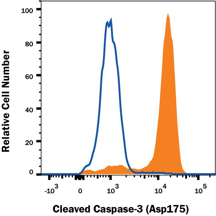 <b>Biological Strategies Validation. </b>Jurkat human acute T cell leukemia cell line untreated (open histogram) or treated with 3 µM Staurosporine for 3 hours (filled histogram) was stained with Rabbit Anti-Human/Mouse Caspase-3 Monoclonal Antibody (Catalog # MAB835, filled histogram) followed by anti-Rabbit IgG FITC-conjugated secondary antibody (Catalog # F0112). To facilitate intracellular staining, cells were fixed with Flow Cytometry Fixation Buffer (Catalog # FC004) and permeabilized with 90% methanol. View our protocol for Staining Intracellular Molecules.