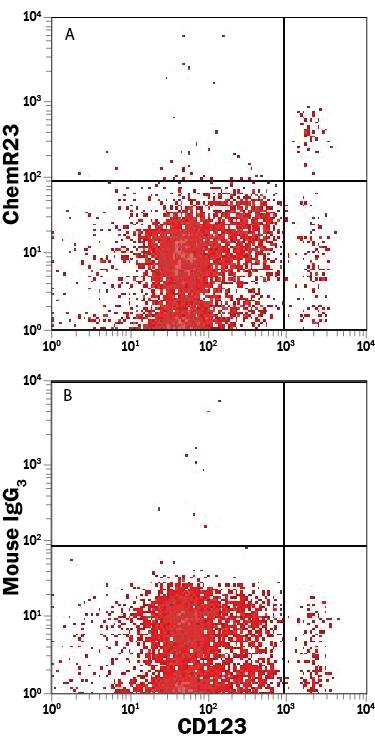 Human whole blood monocytes were stained with Mouse Anti-Human IL-3 R alpha/CD123 PE-conjugated Monoclonal Antibody (FAB301P) and either (A) Mouse Anti-Human ChemR23 APC-conjugated Monoclonal Antibody (Catalog # FAB362A) or (B) Mouse IgG3Allophycocyanin Isotype Control (IC007A). View our protocol for Staining Membrane-associated Proteins.