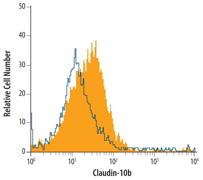 HepG2 human hepatocellular carcinoma cell line was stained with Mouse Anti-Human Claudin-10 b Isoform Monoclonal Antibody (Catalog # MAB4279, filled histogram) or isotype control antibody (Catalog # MAB0041, open histogram), followed by Phycoerythrin-conjugated Anti-Mouse IgG F(ab')2Secondary Antibody (Catalog # F0102B).