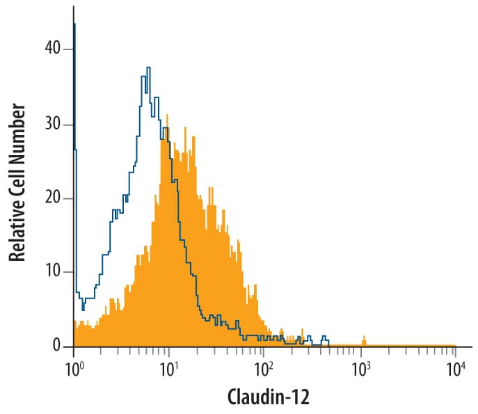 Caco-2 human colorectal adenocarcinoma cell line was stained with Mouse Anti-Human Claudin-12 Monoclonal Antibody (Catalog # MAB4284, filled histogram) or isotype control antibody (Catalog # MAB003, open histogram), followed by Phycoerythrin-conjugated Anti-Mouse IgG F(ab')2Secondary Antibody (Catalog # F0102B).