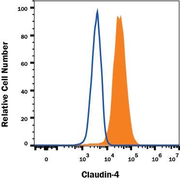 PC-3 human prostate cancer cell line was stained with Mouse Anti-Human Claudin-4 Fluorescein-conjugated Monoclonal Antibody (Catalog # FAB4219F, filled histogram) or isotype control antibody (Catalog # IC003F, open histogram). View our protocol for Staining Membrane-associated Proteins.