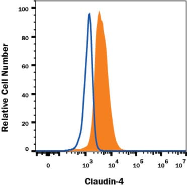 PC-3 human prostate cancer cell line was stained with Mouse Anti-Human Claudin-4 PE-conjugated Monoclonal Antibody (Catalog # FAB4219P, filled histogram) or isotype control antibody (Catalog # IC003P, open histogram). View our protocol for Staining Membrane-associated Proteins.