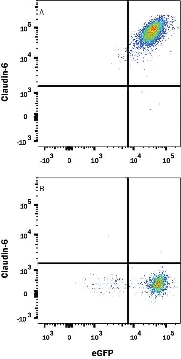 Flow Cytometry Claudin-6 Antibody (342927) [Unconjugated]
