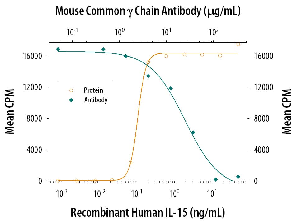 Recombinant Human IL-15 (Catalog # 247-IL) stimulates proliferation in the CTLL-2 mouse cytotoxic T cell line in a dose-dependent manner (orange line). Proliferation elicited by Recombinant Human IL-15 (0.8 ng/mL) is neutralized (green line) by increasing concentrations of Goat Anti-Mouse Common gamma Chain/IL-2 R gamma Antigen Affinity-purified Poly-clonal Antibody (Catalog # AF784). The ND50 is typically 6-24 µg/mL.