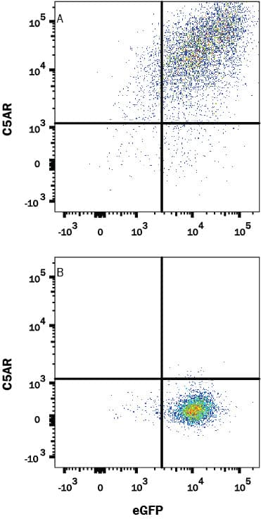 Flow Cytometry Complement Component C5aR1 Antibody (347234) [Unconjugated]