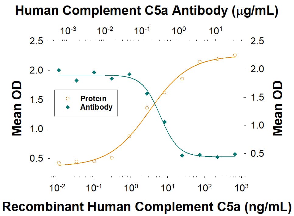 Recombinant Human Complement Component C5a (Catalog # 2037-C5) induces N-acetyl- beta -D-glucosaminidase release in the the dibutyryl cyclic-AMP differentiated U937 human histiocytic lymphoma cell line in a dose-dependent manner (orange line). N-Acetyl-beta -D-Glucosamin-idase Release elicited by Recombinant Human Complement Component C5a (15 ng/mL) is neutralized (green line) by increasing concen-trations of Goat Anti-Human Complement Component C5a Antigen Affinity-purified Polyclonal Antibody (Catalog # AF2037). The ND50 is typically 0.15-0.75 µg/mL in the presence of cytochalasin-B.