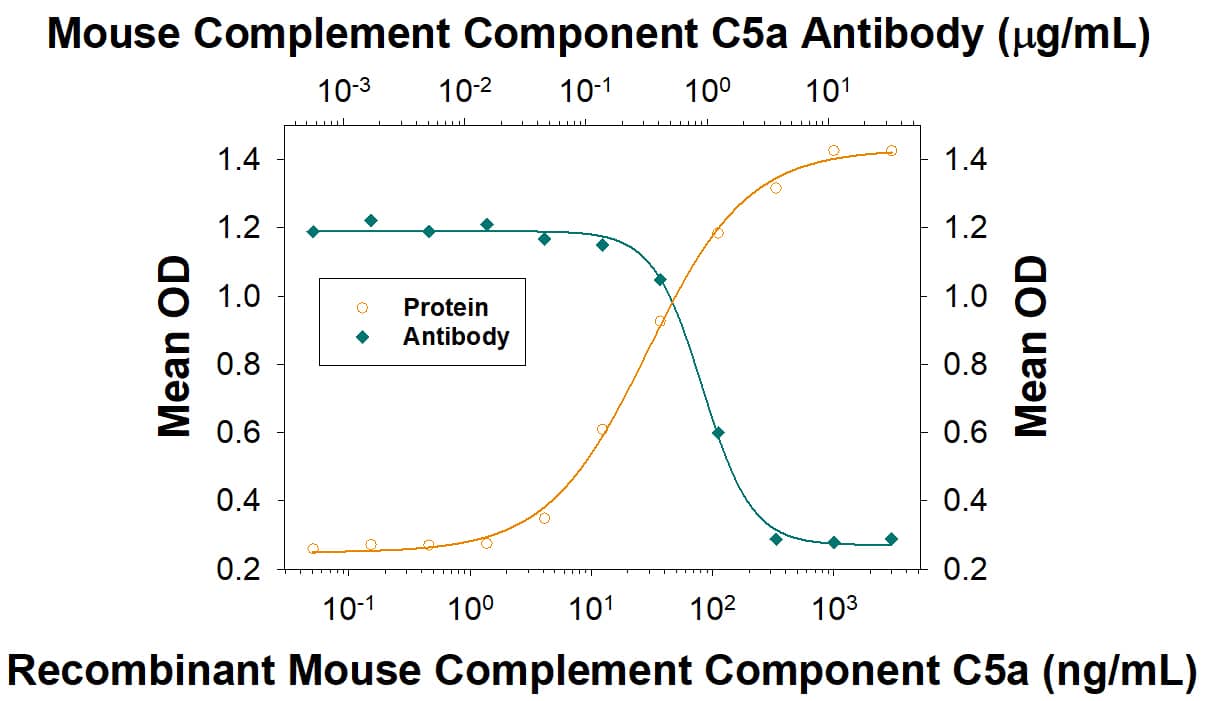 Recombinant Mouse Complement Component C5a (Catalog # 2150-C5) inducesN-acetyl- beta -D-glucosaminidase release in the the dibutyryl cyclic-AMP differentiated U937 human histiocytic lymphoma cell line in a dose-dependent manner (orange line). N-Acetyl- beta -D-Glucosaminidase Release elicited by Recombinant Mouse Complement Component C5a (100 ng/mL) is neutralized (green line) by increasing concentrations of Mouse Complement Component C5a Antigen Affinity-purified Polyclonal Antibody (Catalog # AF2150). The ND50 is typically 0.3-1.8 µg/mL in the presence of cytochalasin-B.