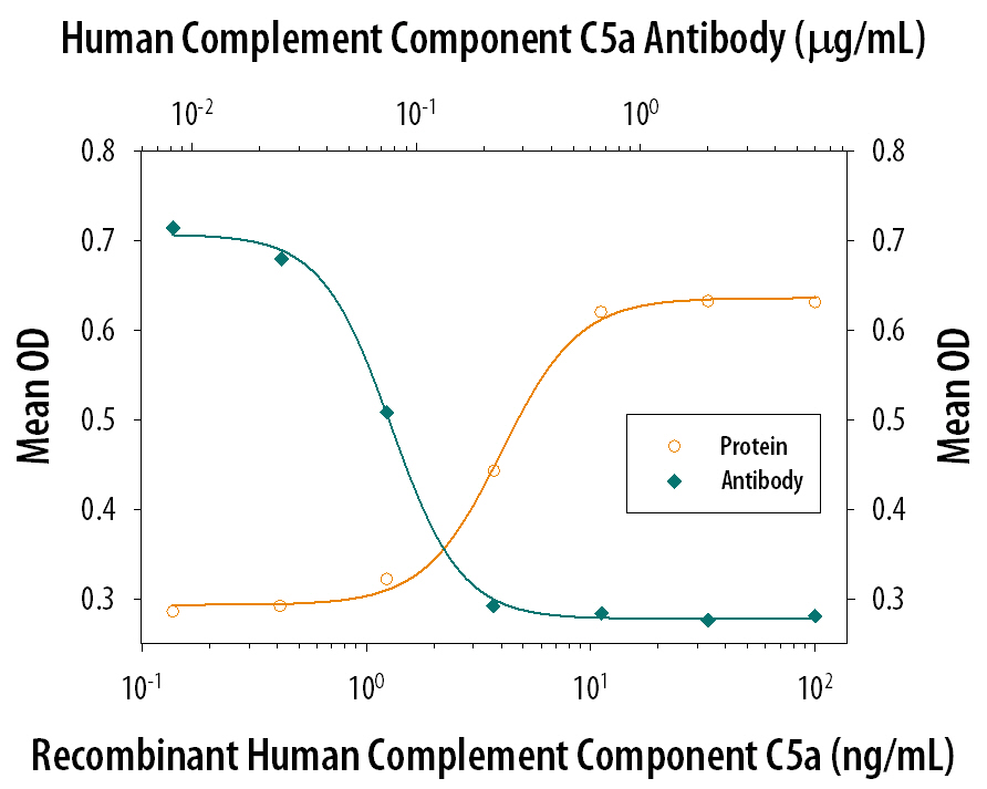 Recombinant Human Complement Component C5a (Catalog # 2037-C5) induces N-acetyl-beta -D-glucosaminidase release in the the dibutyryl cyclic-AMP differentiated U937 human histiocytic lymphoma cell line in a dose-dependent manner (orange line). N-Acetyl-beta -D-Glucosamin-idase Release elicited by Recombinant Human Complement Component C5a (10 ng/mL) is neutralized (green line) by increasing concen-trations of Mouse Anti-Human Complement Component C5a Monoclonal Antibody (Catalog # MAB2037). The ND50 is typically 0.04-0.12 µg/mL in the presence of cytochalasin-B.