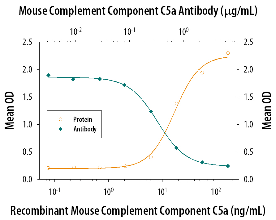 Recombinant Mouse Complement Component C5a (Catalog # 2150-C5) induces N-acetyl-  beta -D-glucosaminidase release in the the dibutyryl cyclic-AMP differentiated U937 human histiocytic lymphoma cell line in a dose-dependent manner (orange line). N-Acetyl-  beta -D-Glucosaminidase Release elicited by Recombinant Mouse Complement Component C5a (50 ng/mL) is neutralized (green line) by increasing concentrations of Rat Anti-Mouse Complement Component C5a Monoclonal Antibody (Catalog # MAB21501). The ND50 is typically 0.1-0.5 µg/mL in the presence of cytochalasin-B.