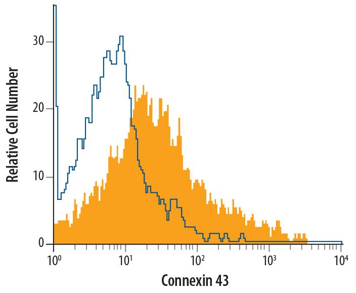 Human T regulatory cells were stained with Mouse Anti-Human Connexin 43 Monoclonal Antibody (Catalog # MAB7737, filled histogram) or isotype control antibody (Catalog # MAB003, open histogram), followed by Allophycocyanin-conjugated Anti-Mouse IgG Secondary Antibody (Catalog # F0101B).