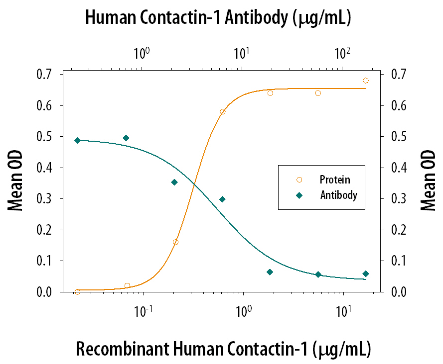 Neutralization Contactin-1 Antibody [Unconjugated]