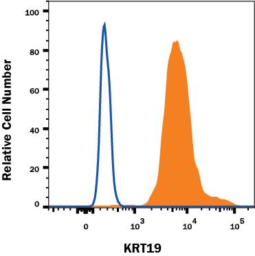 MCF-7 human breast cancer cell line was stained with Sheep Anti-Human KRT19 Affinity Purified Polyclonal Antibody (Catalog # AF3506, filled histogram) or control antibody (Catalog # 5-001-A, open histogram) followed by Anti-Sheep IgG PE-conjugated secondary antibody (Catalog # F0126). To facilitate intracellular staining, cells were fixed and permeabilized with FlowX FoxP3 Fixation & Permeabilization Buffer Kit (Catalog # FC012). View our protocol for Staining Membrane-associated Proteins.