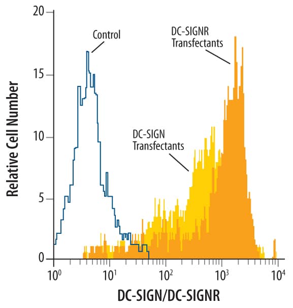 Human DC-SIGN and DC-SIGNR transfected 3T3 mouse embryonic fibroblast cell line were stained with Mouse Anti-Human DC-SIGN+ DC-SIGNR Monoclonal Antibody (Catalog # MAB1621, filled histo­grams) or isotype control antibody (Catalog # MAB003, open histogram), followed by Phycoerythrin-conjugated Anti-Mouse IgG F(ab')2Secondary Antibody (Catalog # F0102B).