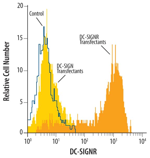 Flow Cytometry DC-SIGNR/CD299/CLEC4M Antibody (120604) [Unconjugated]