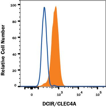 Human peripheral blood neutrophils were stained with Mouse Anti-Human DCIR/CLEC4A Alexa Fluor® 488-conjugated Monoclonal Antibody (Catalog # FAB1748G, filled histogram) or isotype control antibody (Catalog # IC002G, open histogram). View our protocol for Staining Membrane-associated Proteins.