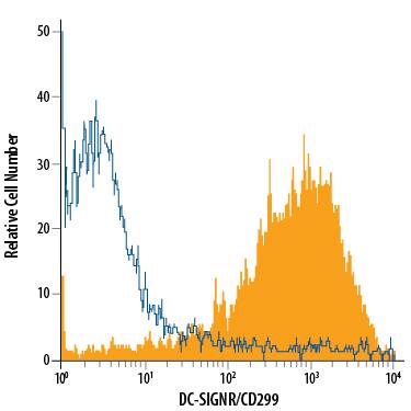 3T3 mouse embryonic fibroblast cell line transfected with human DC-SIGNR/CD299 was stained with Mouse Anti-Human DC-SIGNR/CD299 PE-conjugated Monoclonal Antibody (Catalog # FAB162P, filled histogram) or isotype control antibody (Catalog # IC0041P, open histogram). View our protocol for Staining Membrane-associated Proteins.