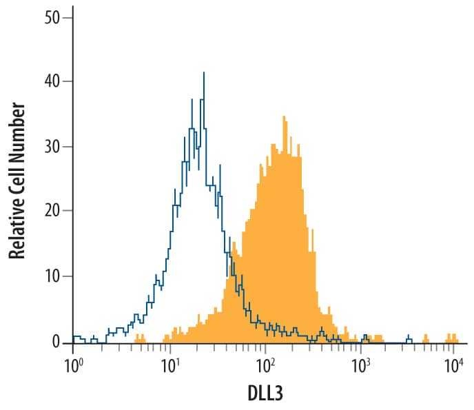 U-118-MG human glioblastoma/astrocytoma cell line was stained with Goat Anti-Human DLL3 Polyclonal Antibody (Catalog # AB4315, filled histogram) or isotype control antibody (Catalog # AB-108-C, open histogram), followed by Allophycocyanin-conjugated Anti-Goat IgG Secondary Antibody (Catalog # F0108).