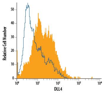 HUVEC human umbilical vein endothelial cells were stained with Rat Anti-Human DLL4 PE-conjugated Monoclonal Antibody (Catalog # FAB1506P, filled histogram) or isotype control antibody (Catalog # IC006P, open histogram). View our protocol for Staining Membrane-associated Proteins.