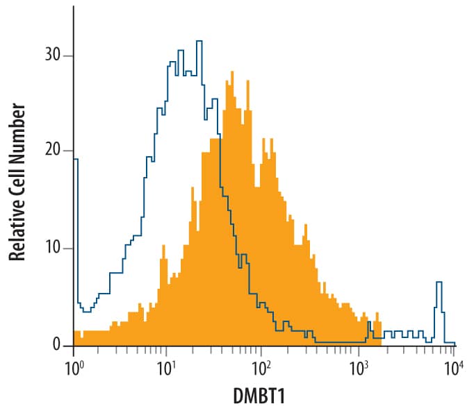 CMT-93 mouse rectal carcinoma cell line was stained with Rat Anti-Mouse DMBT1 Monoclonal Antibody (Catalog # MAB5915, filled histogram) or isotype control antibody (Catalog # MAB0061, open histogram), followed by Allophycocyanin-conjugated Anti-Rat IgG Secondary Antibody (Catalog # F0113).