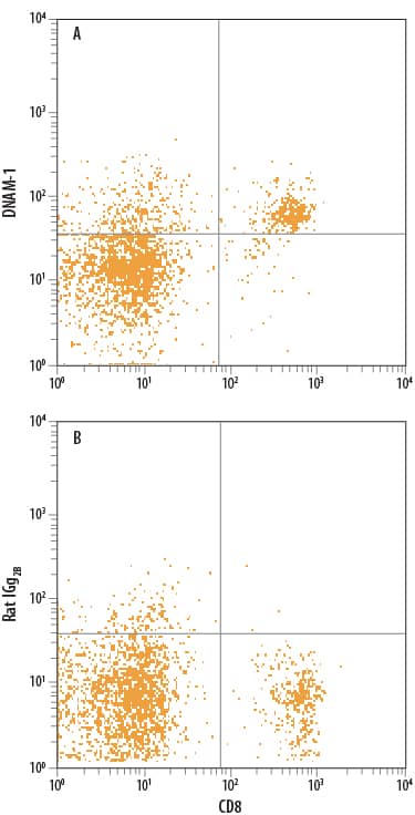 Mouse splenocytes were stained with Rat Anti-Mouse CD8a APC-conjugated Monoclonal Antibody (Catalog # FAB116A) and either (A) Rat Anti-Mouse DNAM-1/CD226 Monoclonal Antibody (Catalog # MAB4436) or (B) Rat IgG2BIsotype Control (Catalog # MAB0061) followed by Phycoerythrin-conjugated Anti-Rat IgG Secondary Antibody (Catalog # F0105B).