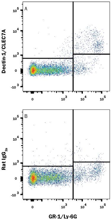 Mouse whole blood monocytes were stained with Rat Anti-Mouse Gr-1/Ly-6G PE-conjugated Monoclonal Antibody (Catalog # FAB1037P) and either (A) Rat Anti-Mouse Dectin-1/CLEC7A Alexa Fluor® 700-conjugated Monoclonal Antibody (Catalog # FAB17561N) or (B) Rat IgG2AAlexa Fluor 700 Isotype Control (Catalog # IC006N). View our protocol for Staining Membrane-associated Proteins.