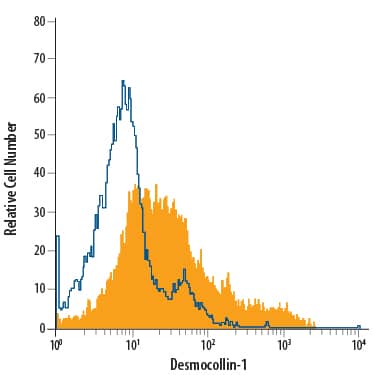 B16-F1 mouse melanoma cell line was stained with Rat Anti-Human/Mouse Desmocollin-1 Monoclonal Antibody (Catalog # MAB7367, filled histogram) or isotype control antibody (Catalog # MAB006, open histogram), followed by Allophycocyanin-conjugated Anti-Rat IgG Secondary Antibody (Catalog # F0113).