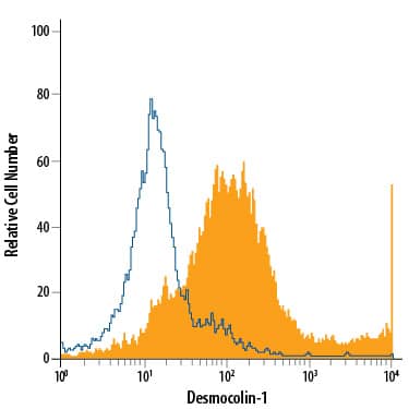 A549 human lung carcinoma cell line was stained with Rat Anti-Human/Mouse Desmocollin-1 Monoclonal Antibody (Catalog # MAB7367, filled histogram) or isotype control antibody (Catalog # MAB006, open histogram), followed by Allophycocyanin-conjugated Anti-Rat IgG Secondary Antibody (Catalog # F0113).