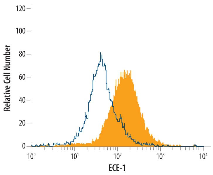 Intracellular Staining by Flow Cytometry ECE-1 Antibody
