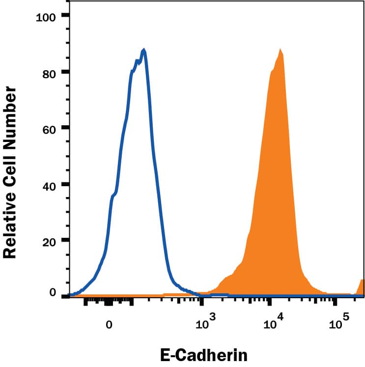 MCF-7 human breast cancer cell line was stained with Goat Anti-Human/Mouse E-Cadherin Antigen Affinity-purified Polyclonal Antibody (Catalog # AF648, filled histogram) or isotype control antibody (Catalog # AB-108-C, open histogram), followed by Allophycocyanin-conjugated Anti-Goat IgG Secondary Antibody (Catalog # F0108). View our protocol for Staining Membrane-associated Proteins.