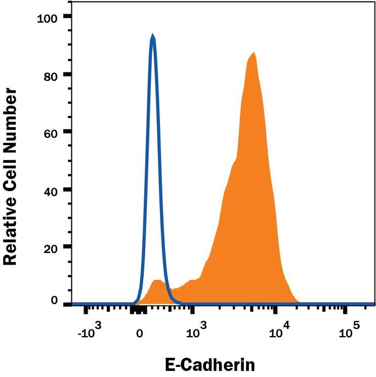 MCF-7 human breast cancer cell line was stained with Mouse Anti-Human E-Cadherin APC-conjugated Monoclonal Antibody (Catalog # FAB18381A, filled histogram) or isotype control antibody (Catalog # IC0041A, open histogram). Cells were stained in a buffer containing Ca2+and Mg2+. View our protocol for Staining Membrane-associated Proteins.