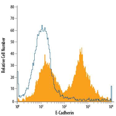 D3 mouse embryonic stem cell line was stained with Rat Anti-Mouse E-Cadherin APC-conjugated Monoclonal Antibody (Catalog # FAB7481A, filled histogram) or isotype control antibody (Catalog # IC006A, open histogram). Cells were stained in a buffer containing Ca2+and Mg2+. View our protocol for Staining Membrane-associated Proteins.