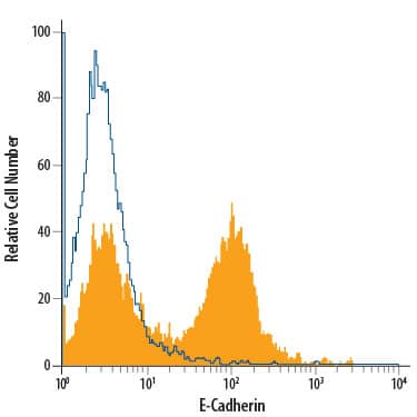 D3 mouse embryonic stem cell line was stained with Rat Anti-Mouse E-Cadherin PE-conjugated Monoclonal Antibody (Catalog # FAB7481P, filled histogram) or isotype control antibody (IC006P, open histogram). Cells were stained in a buffer containing Ca2+and Mg2+. View our protocol for Staining Membrane-associated Proteins.