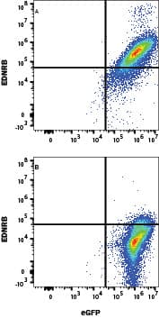 Flow Cytometry EDNRB/Endothelin R Type B Antibody [Unconjugated]