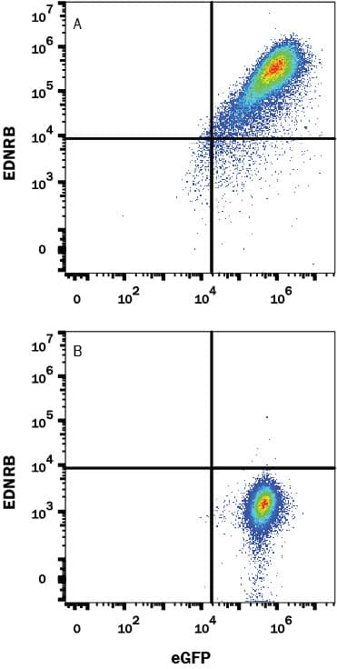 Flow Cytometry EDNRB/Endothelin R Type B Antibody (671917) [Unconjugated]