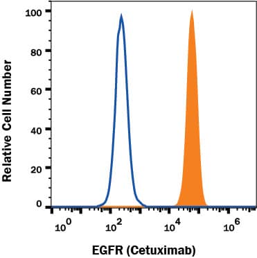 A431 human epithelial carcinoma cell line was stained with Human Anti-Human EGFR (Research Grade Cetuximab Biosimilar) Alexa Fluor® 594-conjugated Monoclonal Antibody (Catalog # FAB9577T, filled histogram) or unstained cells (open histogram).View our protocol for Staining Membrane-associated Proteins.