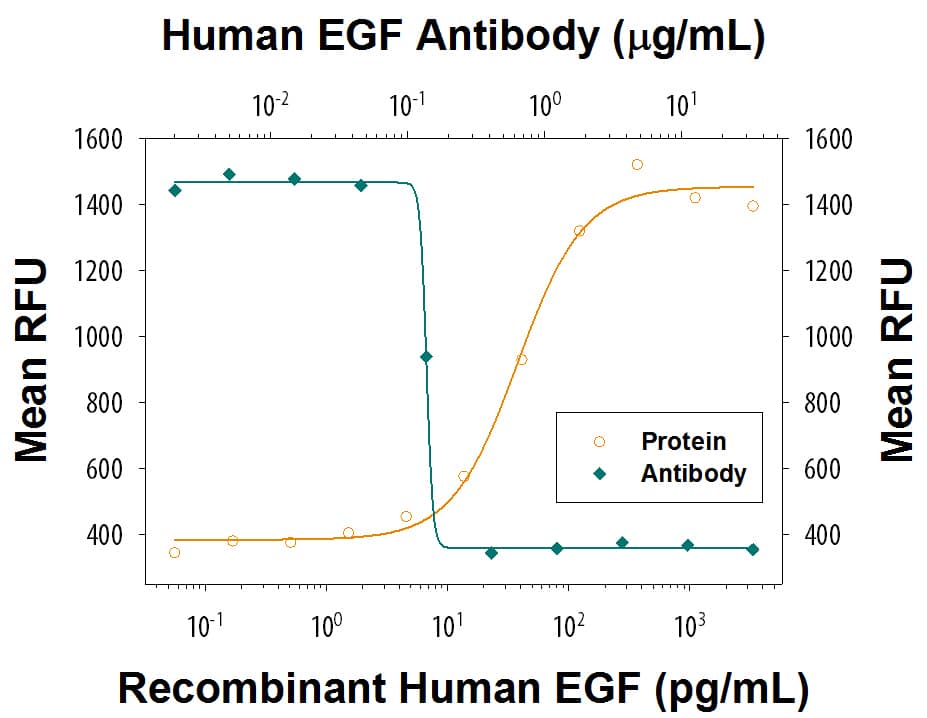 Recombinant Human EGF (Catalog # 236-EG) stimulates proliferation in the Balb/3T3 mouse embryonic fibroblast cell line in a dose-dependent manner (orange line). Proliferation elicited by Recombinant Human EGF (2 ng/mL) is neutralized (green line) by increasing concentrations of Human EGF Polyclonal Antibody (Catalog # AB-236-NA). The ND50 is typically 0.08 -0.8 µg/mL.