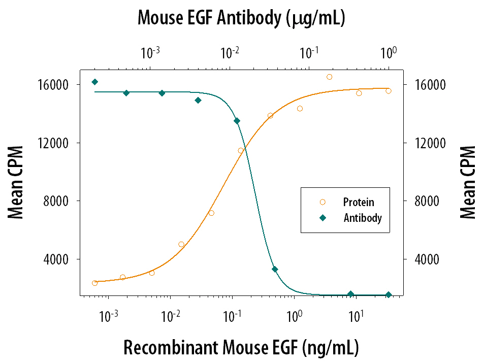 Recombinant Mouse EGF (Catalog # 2028-EG) stimulates proliferation in the Balb/3T3 mouse embryonic fibroblast cell line in a dose-dependent manner (orange line). Proliferation elicited by Recombinant Mouse EGF (0.3 ng/mL) is neutralized (green line) by increasing concentrations of Goat Anti-Mouse EGF Antigen Affinity-purified Polyclonal Antibody (Catalog # AF2028). The ND50 is typically 0.02-0.06 µg/mL.