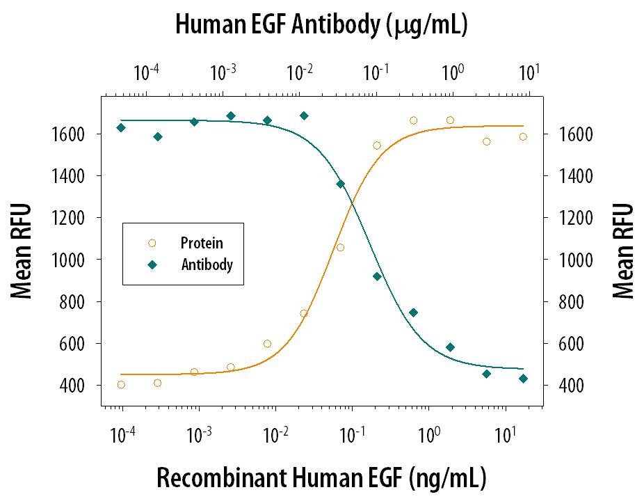 Recombinant Human EGF (Catalog # 236-EG) stimulates proliferation in the Balb/3T3 mouse embryonic fibroblast cell line in a dose-dependent manner (orange line). Proliferation elicited by Recombinant Human EGF (2 ng/mL) is neutralized (green line) by increasing concentrations of Mouse Anti-Human EGF Monoclonal Antibody (Catalog # MAB236). The ND50 is typically 0.05-0.1 µg/mL.