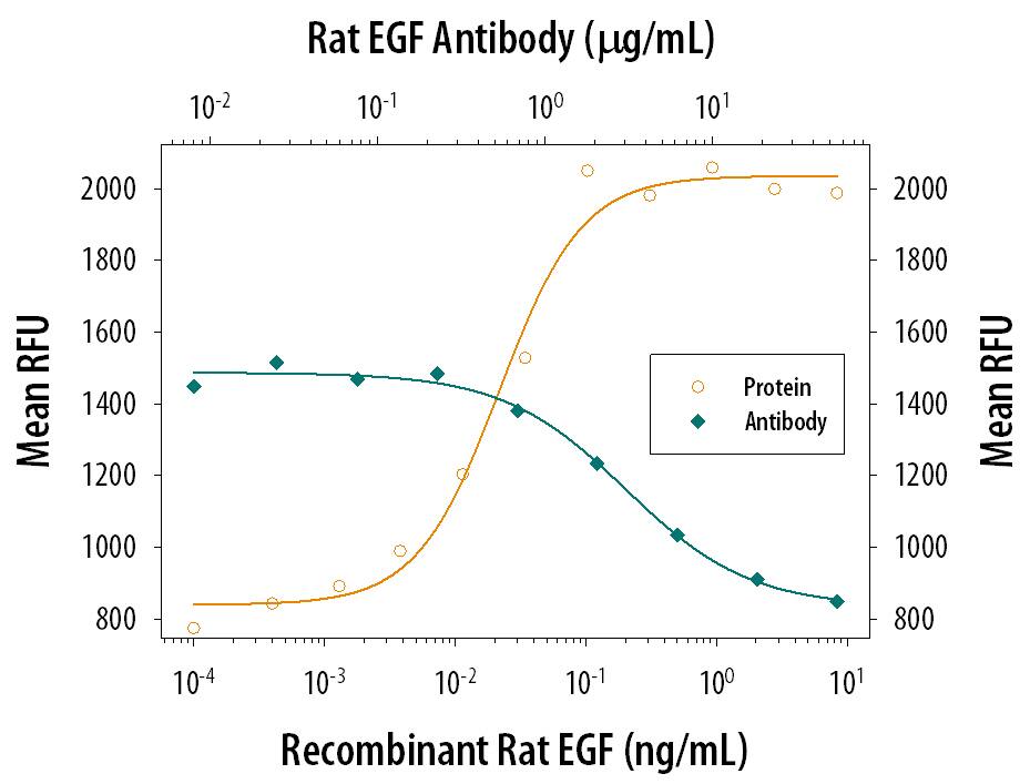 Recombinant Rat EGF (Catalog # 3214-EG) stimulates proliferation in the Balb/3T3 mouse embryonic fibroblast cell line in a dose-dependent manner (orange line). Proliferation elicited by Recombinant Rat EGF (75 pg/mL) is neutralized (green line) by increasing concentrations of Mouse Anti-Rat EGF Monoclonal Antibody (Catalog # MAB3214). The ND50 is typically 0.75-3.75 µg/mL.