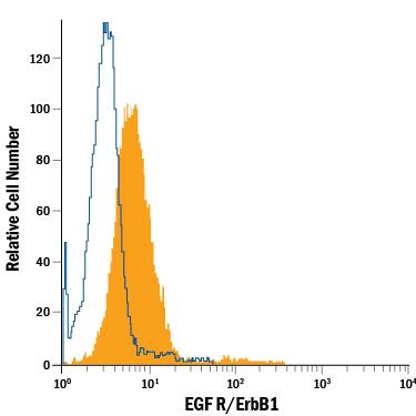 A431 human epithelial carcinoma cell line was stained with Rat Anti-Human EGF R/ErbB1 Fluorescein-conjugated Monoclonal Antibody (Catalog # FAB10951F, filled histogram) or isotype control antibody (Catalog # IC006F, open histogram). View our protocol for Staining Membrane-associated Proteins.