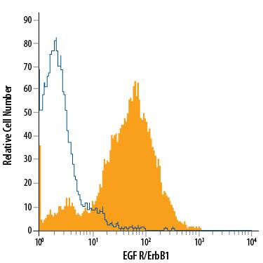 A431 human epithelial carcinoma cell line was stained with Rat Anti-Human EGF R/ErbB1 Alexa Fluor® 488-conjugated Monoclonal Antibody (Catalog # FAB10951G, filled histogram) or isotype control antibody (Catalog # IC006G, open histogram). View our protocol for Staining Membrane-associated Proteins.
