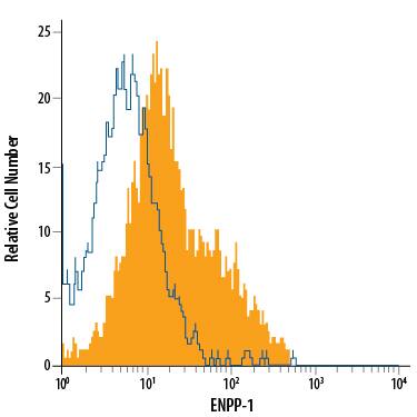 HepG2 human hepatocellular carcinoma cell line was stained with Sheep Anti-Human ENPP-1 APC-conjugated Antigen Affinity-purified Polyclonal Antibody (Catalog # FAB6136A, filled histogram) or isotype control antibody (Catalog # IC016A, open histogram). View our protocol for Staining Membrane-associated Proteins.