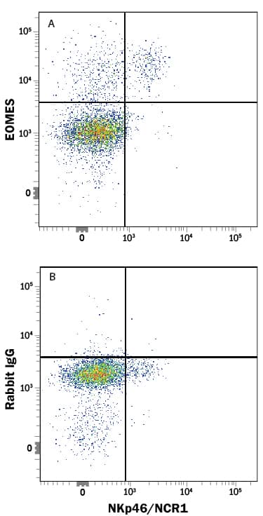 Mouse splenocytes were stained with Rat Anti-Mouse NKp46/NCR1 APC-conjugated Monoclonal Antibody (Catalog # FAB22252A) and either (A) Rabbit Anti-Mouse EOMES Monoclonal Antibody (Catalog # MAB8889) or (B) Normal Rabbit IgG Control (Catalog # AB-105-C) followed by Phycoerythrin-conjugated Anti-Rabbit IgG Secondary Antibody (Catalog # F0110).