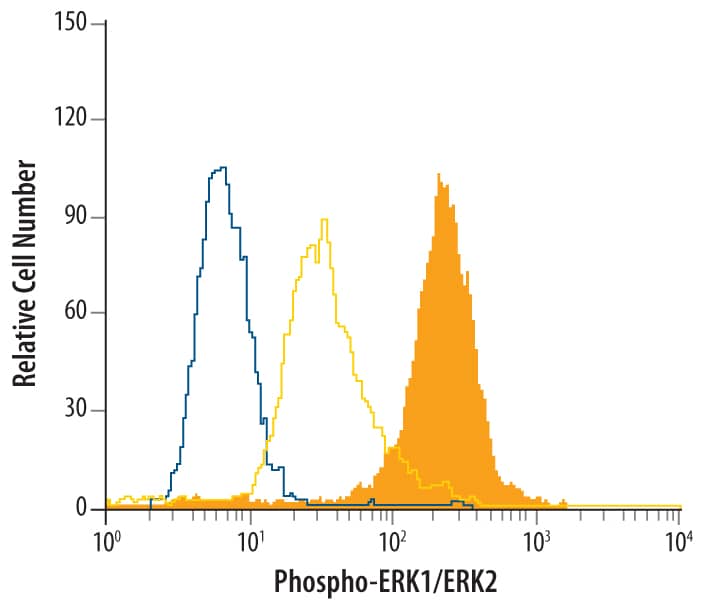 <b>Biological Strategies Validation. </b>Jurkat human acute T cell leukemia cell line were untreated (yellow line open histogram) or treated with 200 ng/mL PMA for 15 minutes (filled histogram) and stained with Rabbit Anti-Human/Mouse/Rat Phospho-ERK1/ERK2 (ERK1 T202/Y204, ERK2 T185/Y187) Antigen Affinity-purified Polyclonal Antibody (Catalog # AF1018) or control antibody (Catalog # AB-105-C, blue line open histogram), followed by Fluorescein-conjugated Anti-Rabbit IgG Secondary Antibody (Catalog # F0112). To facilitate intracellular staining, cells were fixed with PFA and permeabilized with ice-cold methanol.