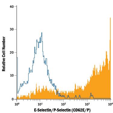 HUVEC human umbilical vein endothelial cells treated with Recombinant Human TNF-a (Catalog # 210-TA) were stained with Mouse Anti-Human E-Selectin/P-Selectin (CD62E/P) APC-conjugated Monoclonal Antibody (Catalog # FAB6169A, filled histogram) or isotype control antibody (Catalog # IC002A, open histogram). View our protocol for Staining Membrane-associated Proteins.