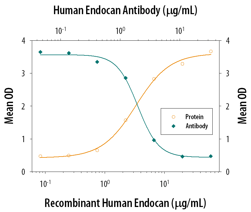 Recombinant Human Endocan/ESM-1 (Catalog # 1810-EC), immobilized onto a microplate, supports the adhesion of the Jurkat human acute T cell leukemia cell line in a dose-dependent manner (orange line). Adhesion elicited by Recombinant Human Endocan/ESM-1 (20 µg/mL) is neutralized (green line) by increasing concentrations of Goat Anti-Human Endocan/ESM-1 Antigen Affinity-purified Polyclonal Antibody (Catalog # AF1810). The ND50 is typically 1-4 µg/mL.
