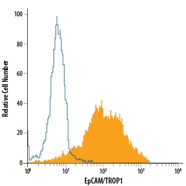 HT-29 human colon adenocarcinoma cell line was stained with Mouse Anti-Human EpCAM/TROP-1 Alexa Fluor® 488-conjugated Monoclonal Antibody (Catalog # FAB9601G, filled histogram) or isotype control antibody (Catalog # IC0041G, open histogram). View our protocol for Staining Membrane-associated Proteins.